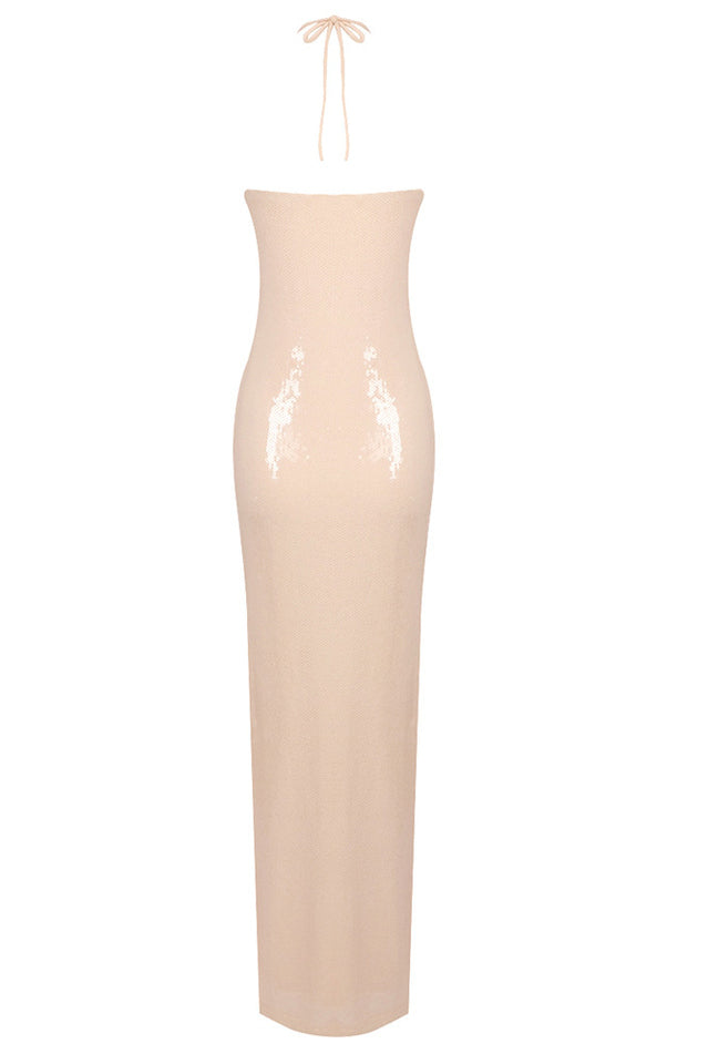 Aurora Rose Maxi Dress