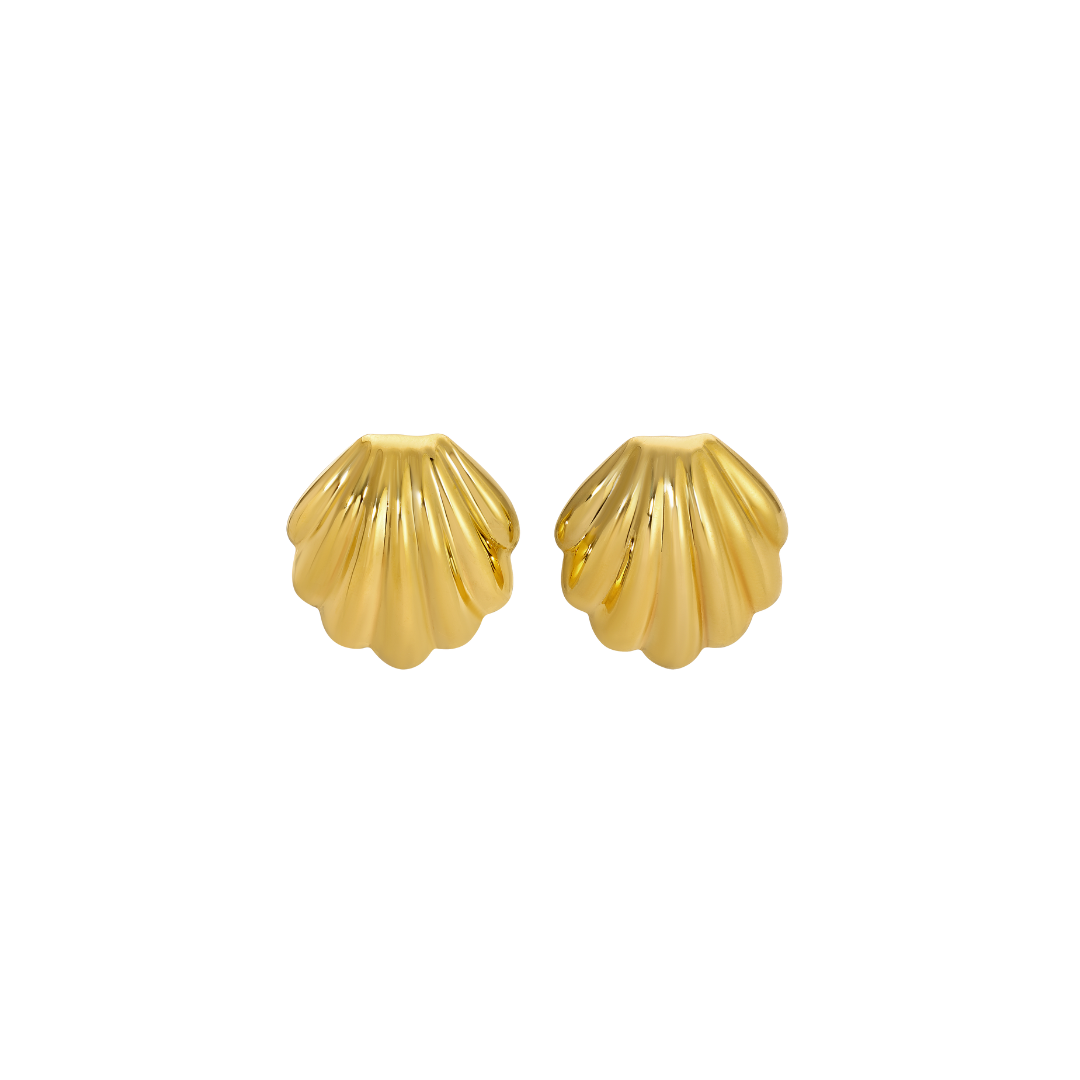 Golden Seashell Earrings