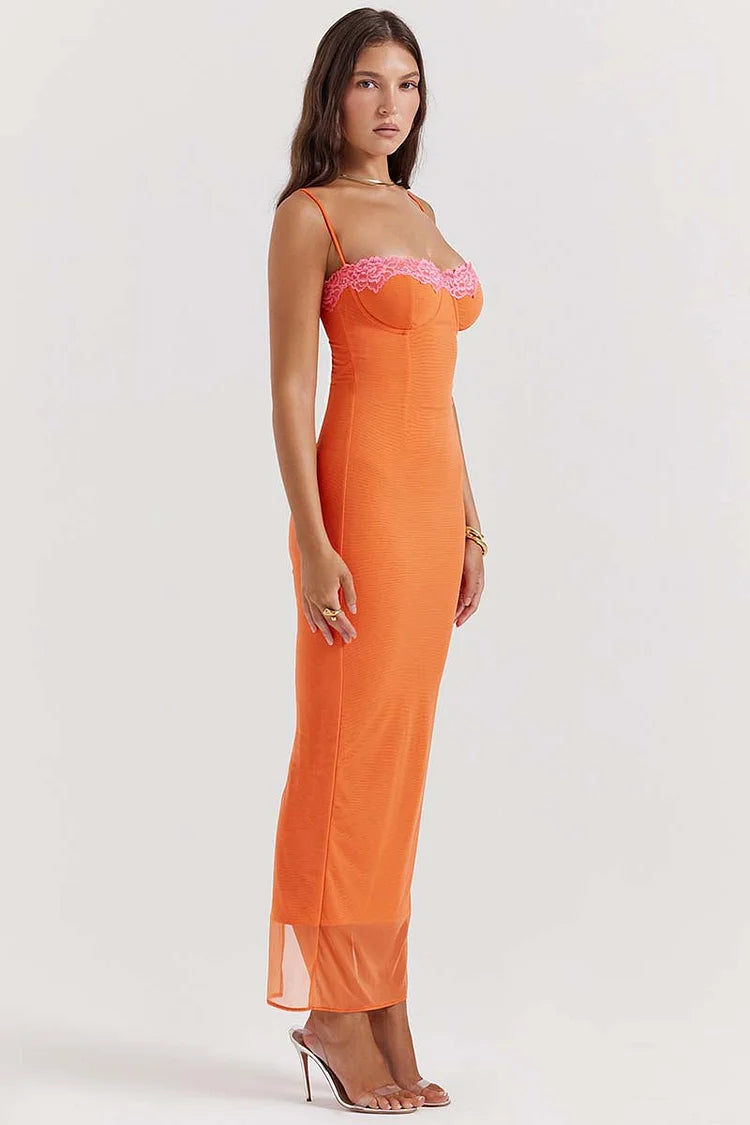 Tropica Lace Detail Mesh Maxi Dress