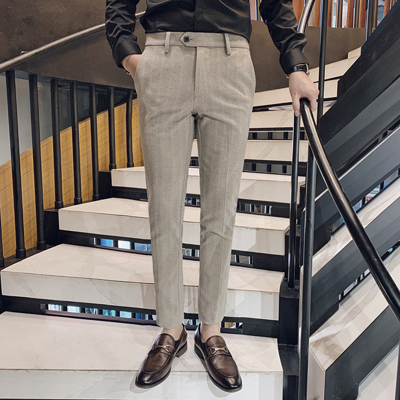 Collins Lane Tapered Pants