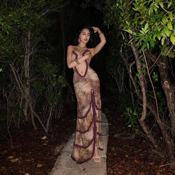 Sahara Mirage Mesh Maxi Dress