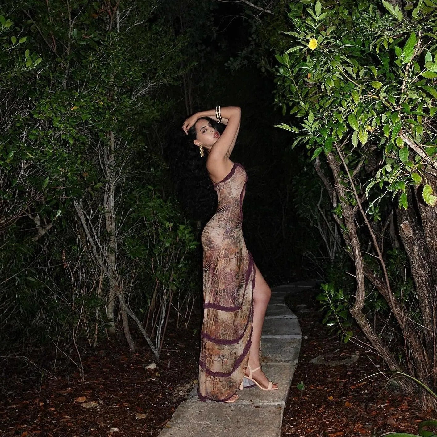 Sahara Mirage Mesh Maxi Dress