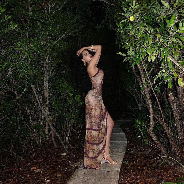 Sahara Mirage Mesh Maxi Dress